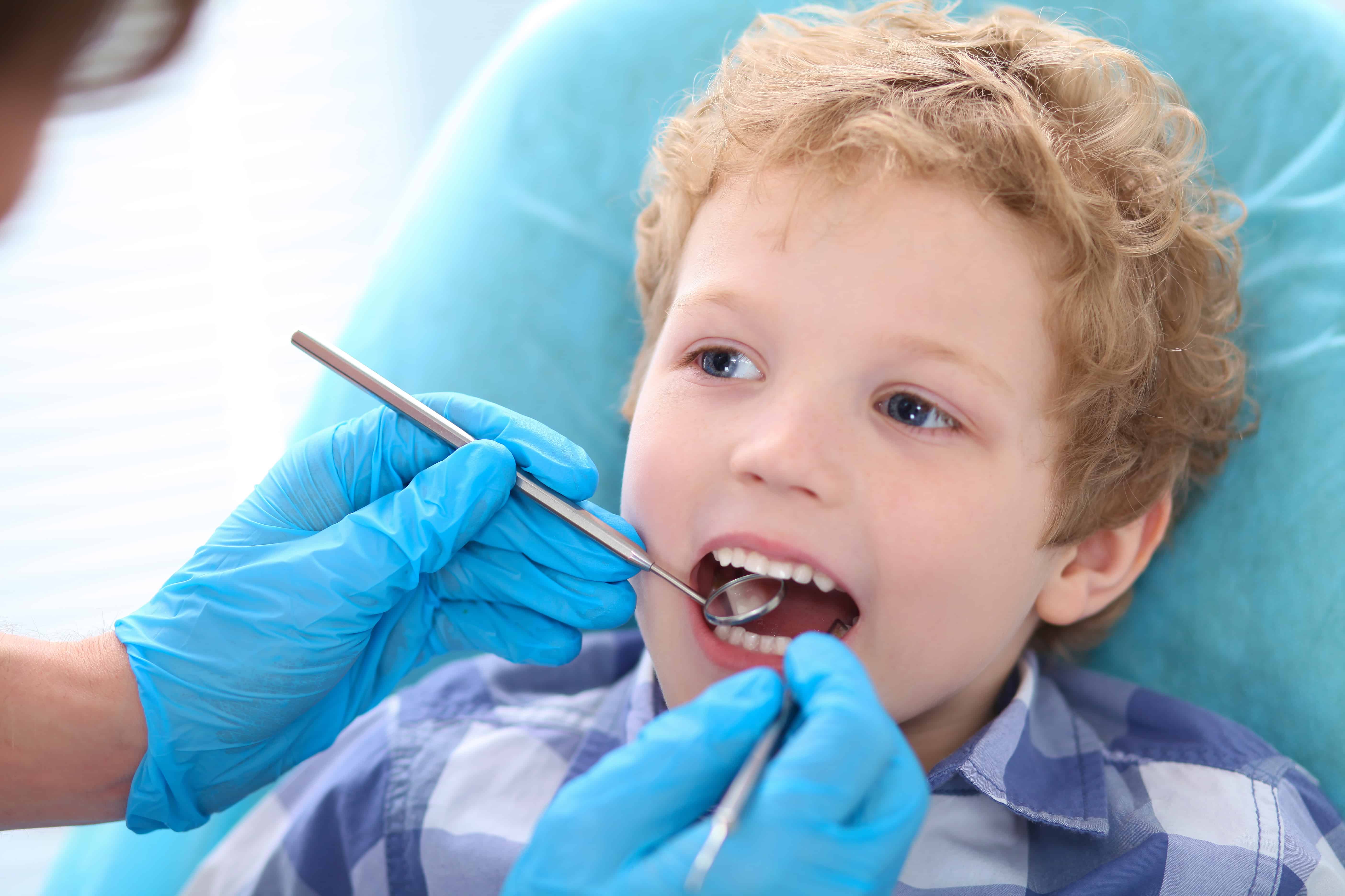 Kid receiving a dental exam